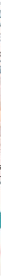 A Domo arriva Zampalandia Splash: il nuovo spazio self-service dedicato agli animali